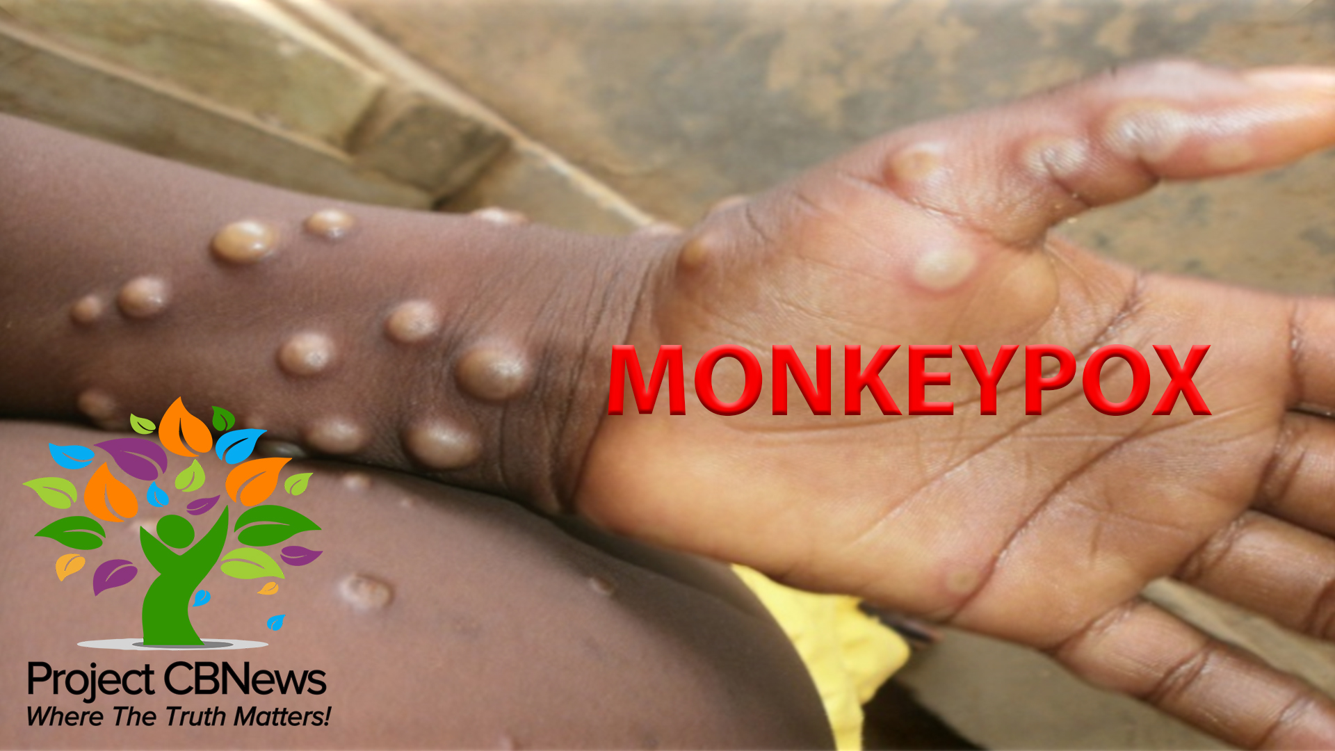 Monkeyppx
